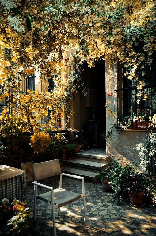 Tips for Creating a Relaxing Garden Space at Home
